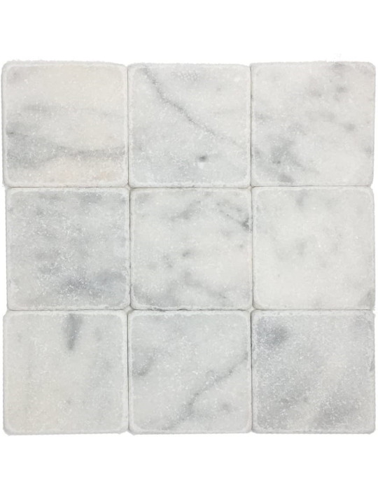 CARRARA SQUARE/TUMBLED HONED