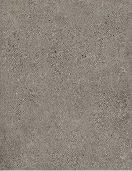 T-STONE 2.0 ASH MATT