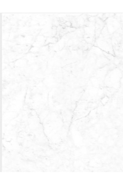 CARRARA VENATO POLISHED