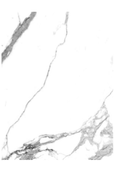 STATUARIO BIANCO POLISHED