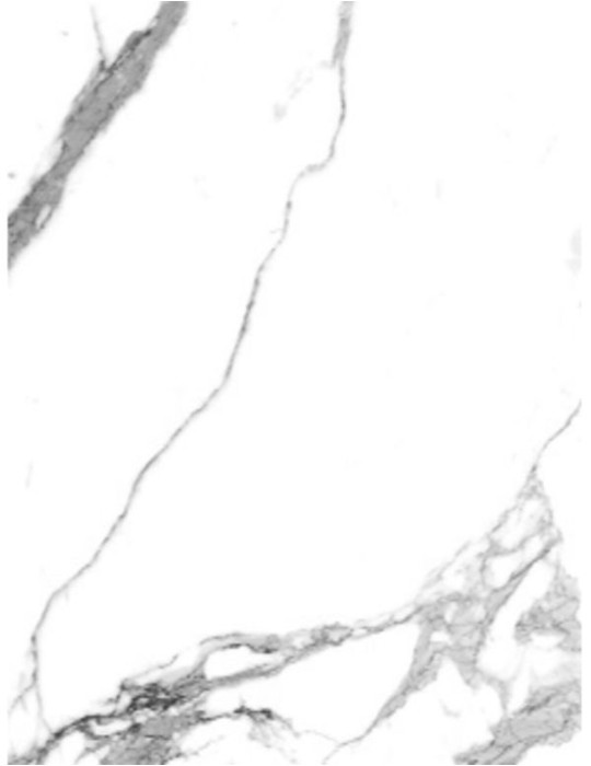 STATUARIO BIANCO POLISHED