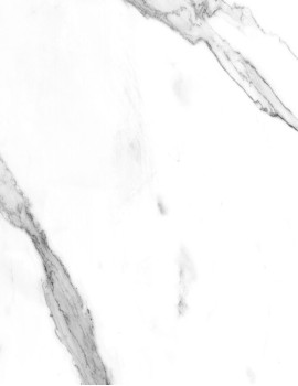 STATUARIO BIANCO MATT