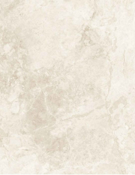 TUNDRA BEIGE
