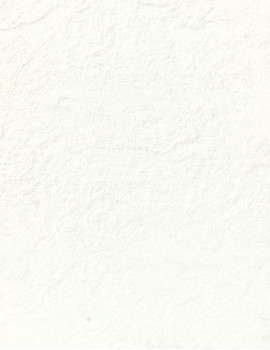 BACCHUS WHITE MATT ROCKFACE