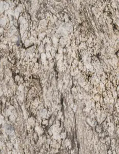 KASHMIR WHITE