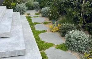 BLUESTONE STEPPER