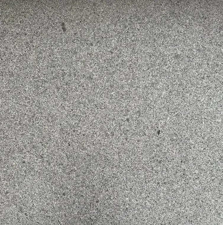 Close-up of a rough gray concrete surface with small aggregates visible.