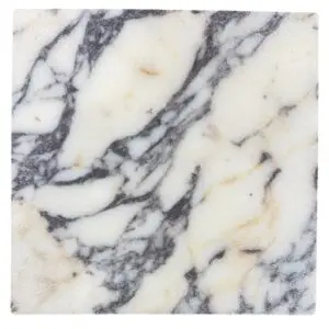 Close-up of white marble with dark gray veining and a polished surface.