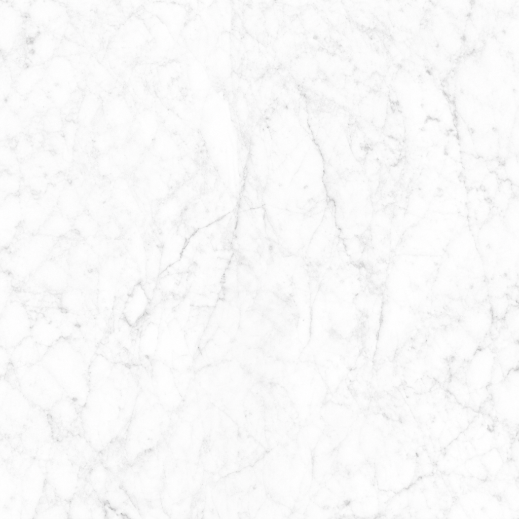 CARRARA VENATO